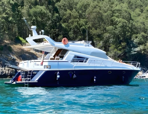 Johnson 56