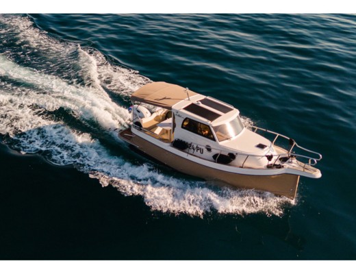 Leidi 660