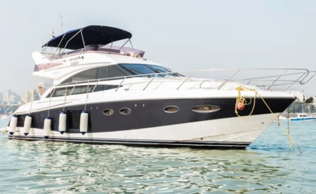 Princess 54