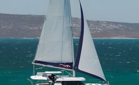 Leopard 42