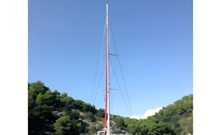 Leopard 47
