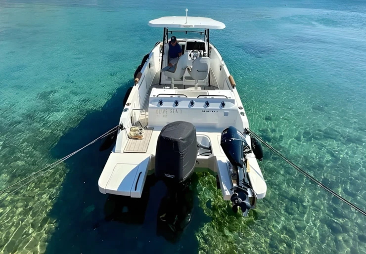Flyer 8.8 Space Deck Palaia Fokaia | Olive Sea 1