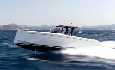 Pardo 38