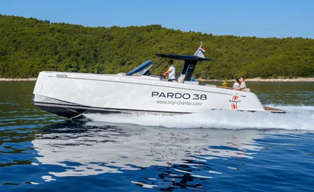 Pardo 38