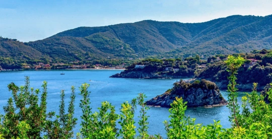 Swimming in Procchio or Fetovaia