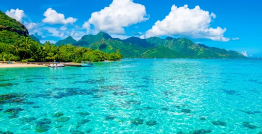 Exploration Tour of Moorea Lagoon