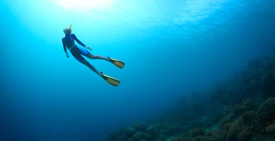 Snorkel y buceo durante toda la estancia