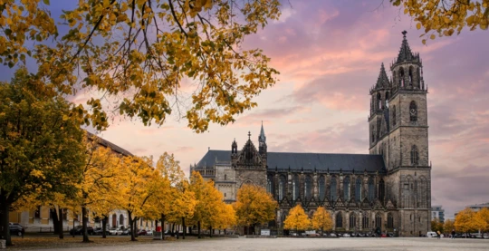 Guided tour of Magdeburg Cathedral and a culinary break