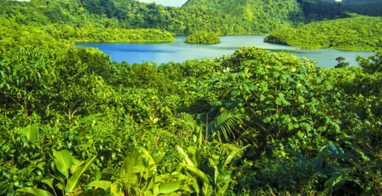 Fresh Water Lake: Nature and Freshness at High Altitude