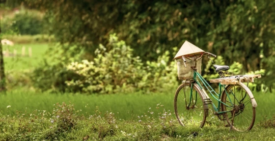 Balade à vélo ou en voiture électrique au village de Viet Hai