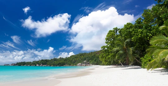 Vallée de Mai et Anse Lazio : nature, forêts de palmiers et plages paradisiaques