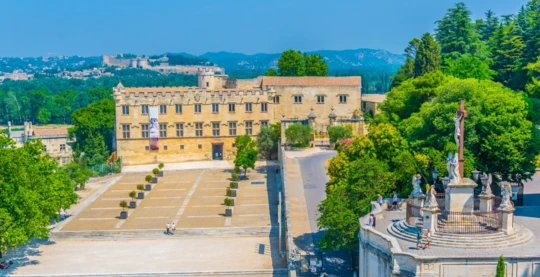 Tour of the Petit Palais in Avignon