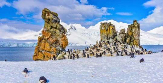 Trip to the South Shetland Islands