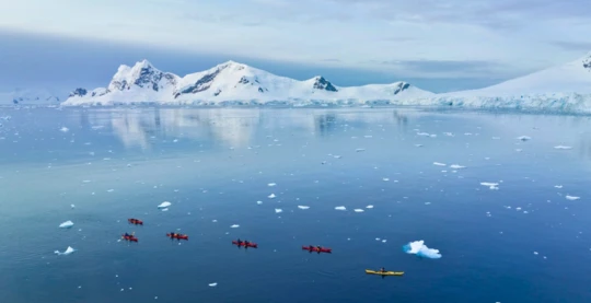 Guided kayaking tour
