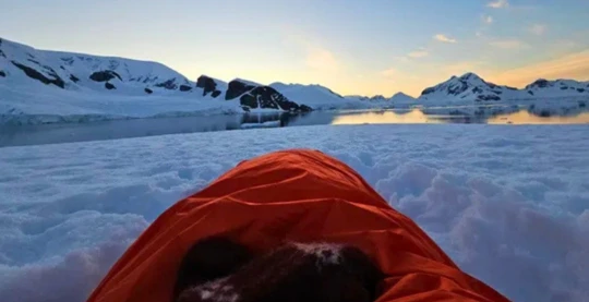 Camping - Sleeping bag