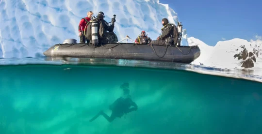 Polar Diving