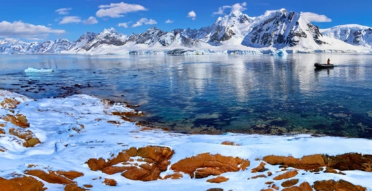 Tour of Cuverville Island