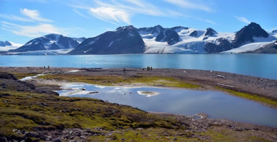 Excursión a Alicehamna o a Buchananhalvøya