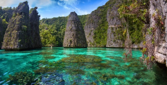 Snorkeling sur les sites de Fiabecet