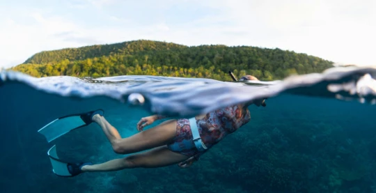 Snorkeling et plongée autour des îles Penemu