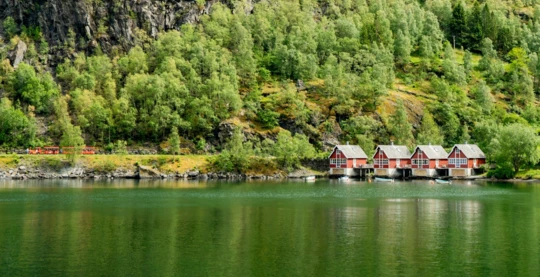 Visite de la ville de Flåm