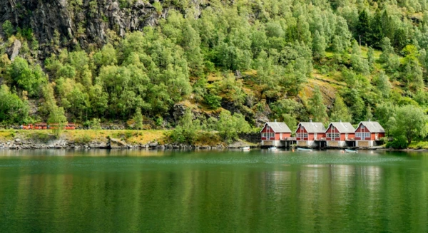 Visite de la ville de Flåm