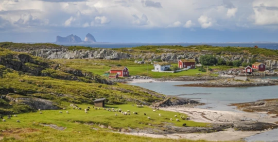 Træna, d’île en île