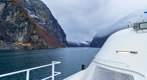 Croisière au cœur de la nature et des glaciers