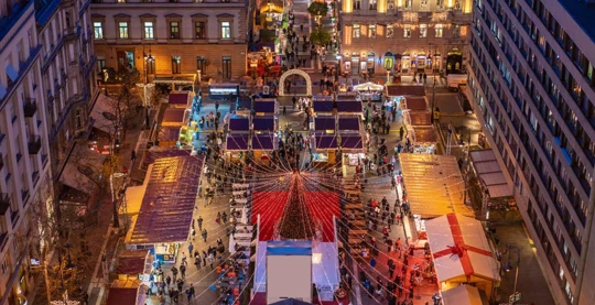 Guided Tour of Budapest in Winter