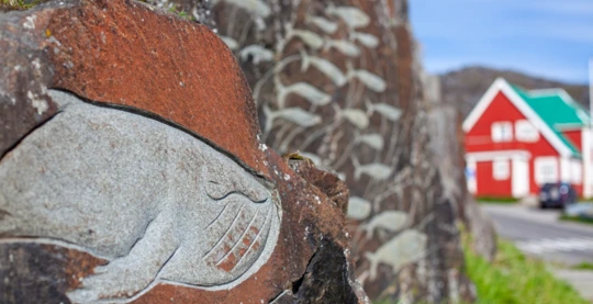 Visita a Qeqertaq