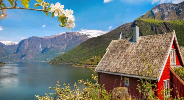 Croisière jusqu'à l'Aurlandsfjord