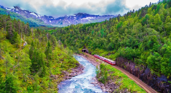 Trajet en train de Myrdal à Oslo