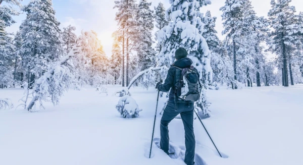 Excursion en raquettes à neige