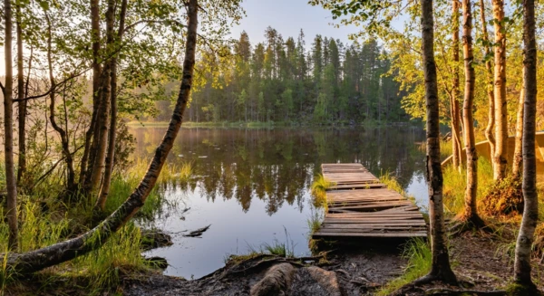Visite du parc national Urho Kekkonen