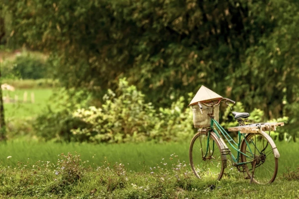 Balade à vélo à Mai Chau