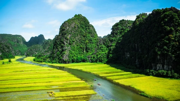 Excursion en barque à rames à Tam Coc