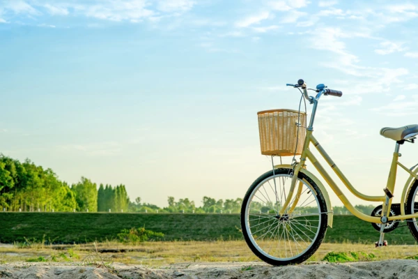 Balade à vélo à Thuy Bieu