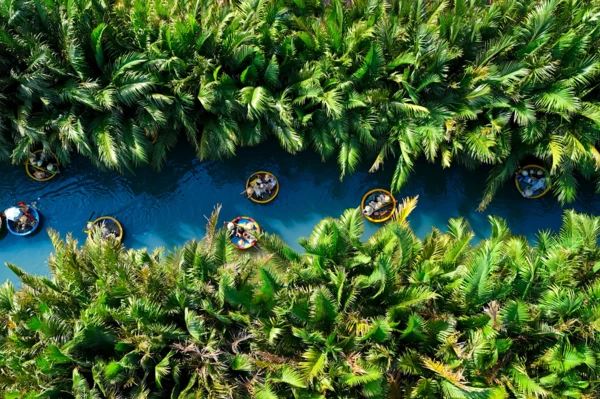 Balade dans la forêt de cocotiers d’eau de Bay Mau