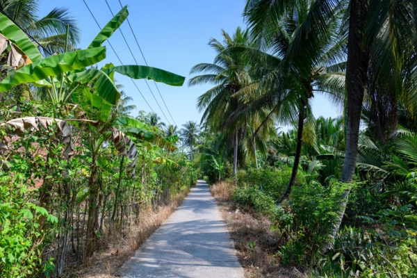 Balade en tuk-tuk à travers Ben Tre