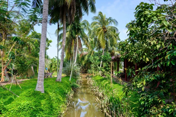 Balade en barque à rames à Ben Tre