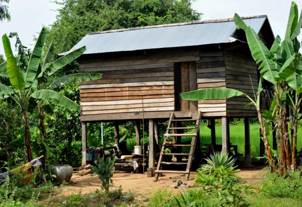 Promenade en tuk-tuk dans la campagne de Battambang