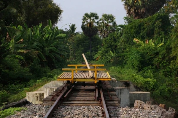 Excursion en train de bambou