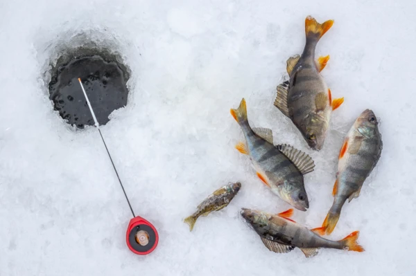 Pêche sur glace