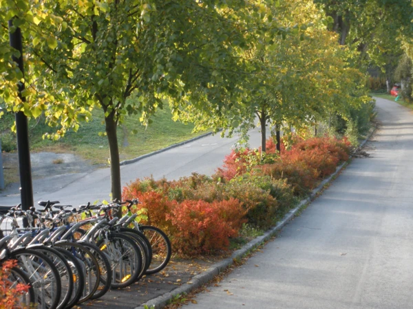 Balade à vélo et passage sur le Trampe