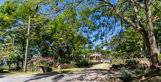 Visit the island of Saint Lucia by taxi with a guide