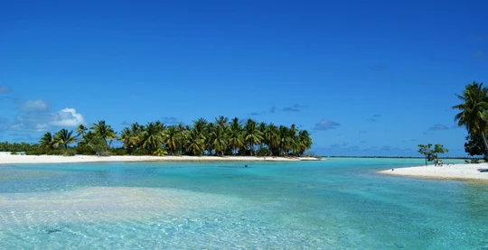 Local barbecue lunch on a private motu