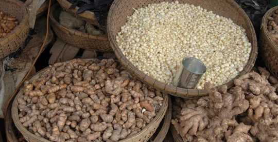 Visite du marché de Dong Ba