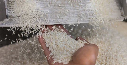 Visite d’une briqueterie, d’une pépinière d'arbres fruitiers ainsi que d’une fabrique artisanale de riz