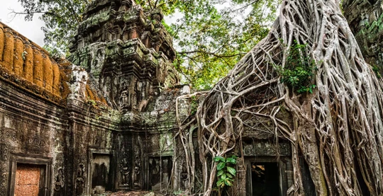 Visite du temple de Ta Prohm