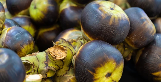 Una excursión al pueblo para descubrir la cerámica de estilo jemer y el azúcar de palma